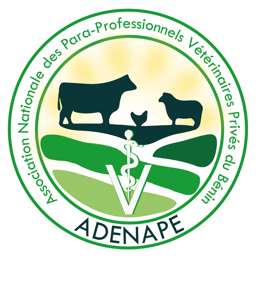 Logo ADENAPE sans fond-7.png
