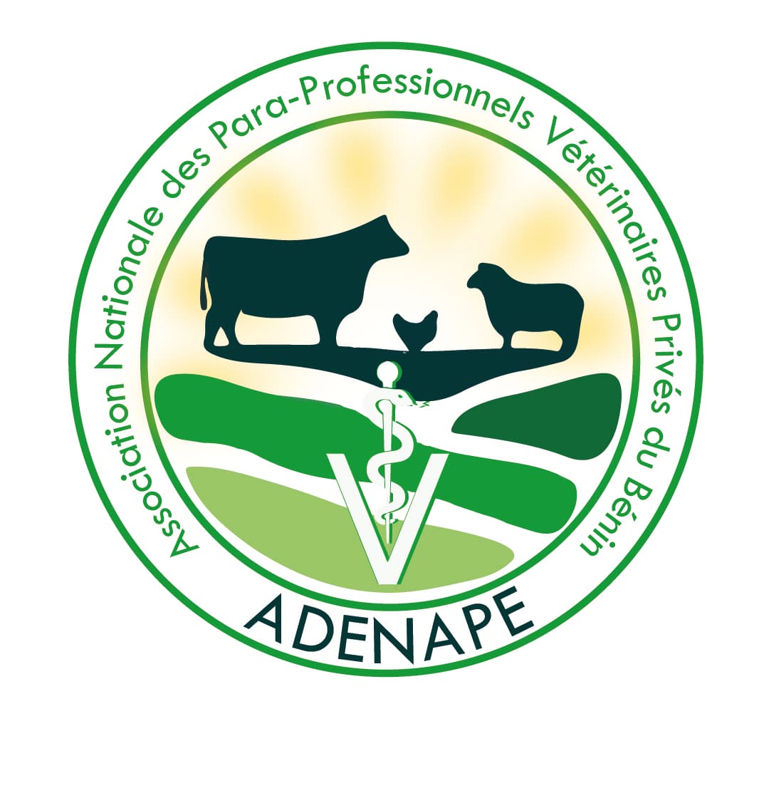 Logo ADENAPE sur fond blanc.jpg